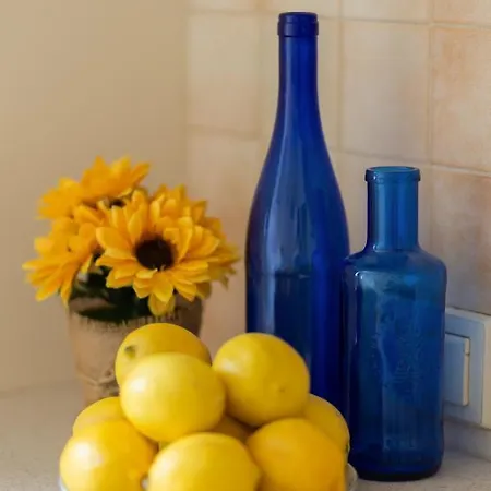 Center Zurawia By Renters *