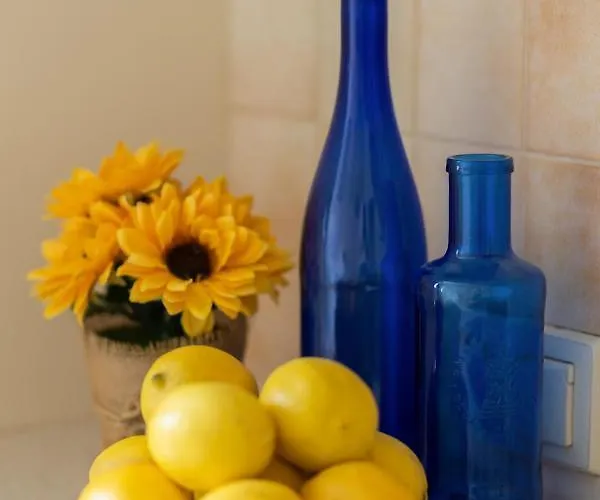 Center Zurawia By Renters *